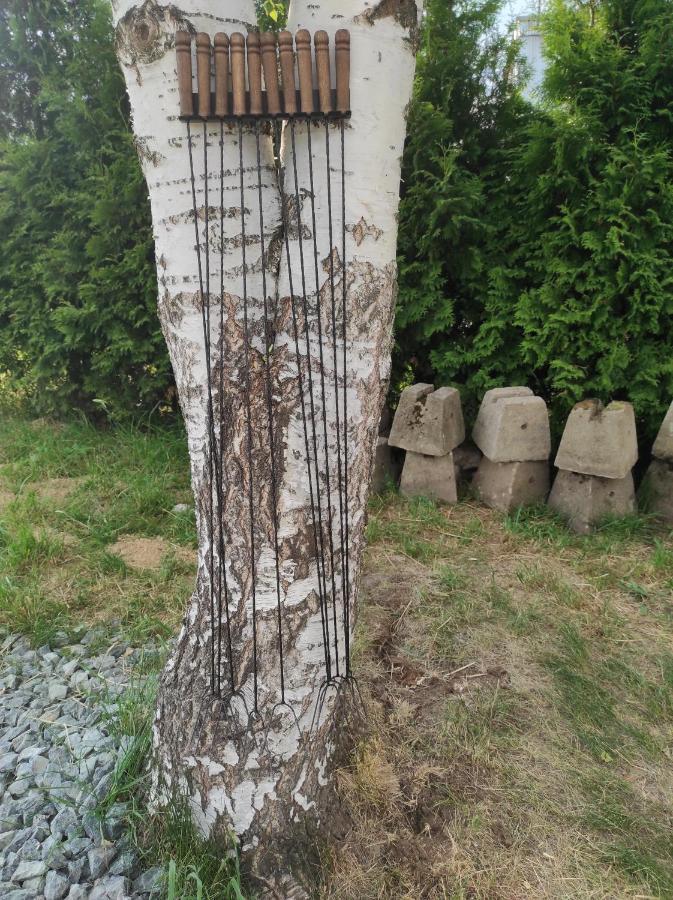 Ekologiczny 