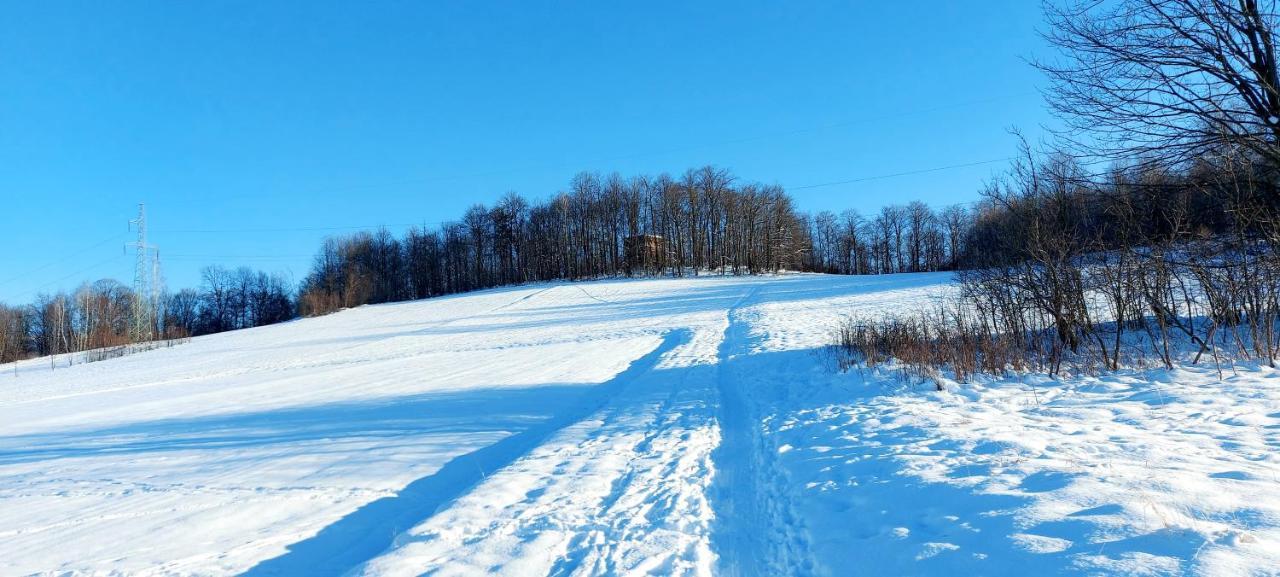 Ekologiczny 